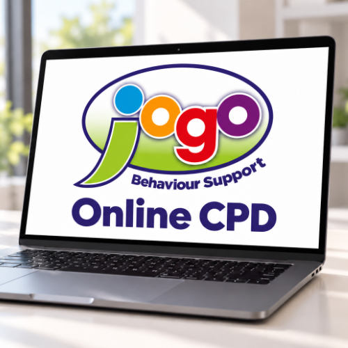 Training and CPD by Jogo Behaviour Support