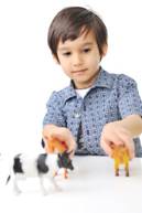 Play Therapy - Boy with cows