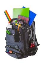 School Improvement Services