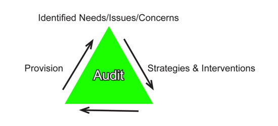 School Improvement Services Audit